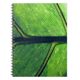 Macro photography of green leaf notizblock