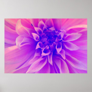 Macro Pink Flower Poster