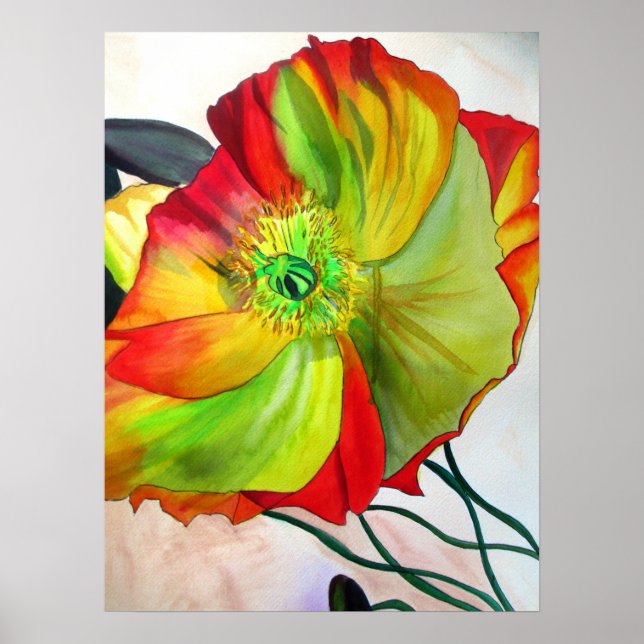 Macro Poppy Blume Poster (Vorne)