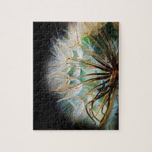 Macro Puffball Fotografie Nah-up Natur Puzzle