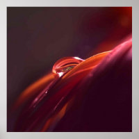 Macro Rotes Blatt
