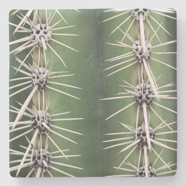 Macro Saguaro Cactus, Arizona, Untersetzer (Vorderseite)