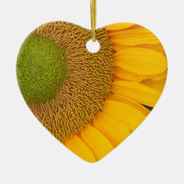 Macro Sonnenblumen Center Blume Ornament (Vorne)