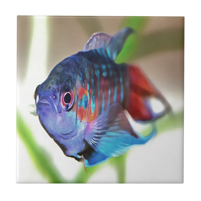 Macropodus Opercularis Aquarium Fisch Fliese (Vorderseite)