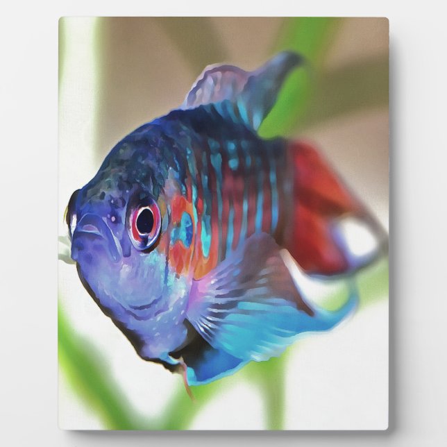 Macropodus Opercularis Aquarium Fisch Fotoplatte (Vorderseite)