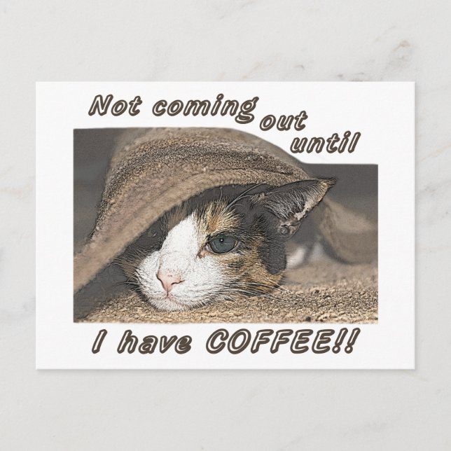 Macy Will Kaffee zu Postkarte (Vorderseite)