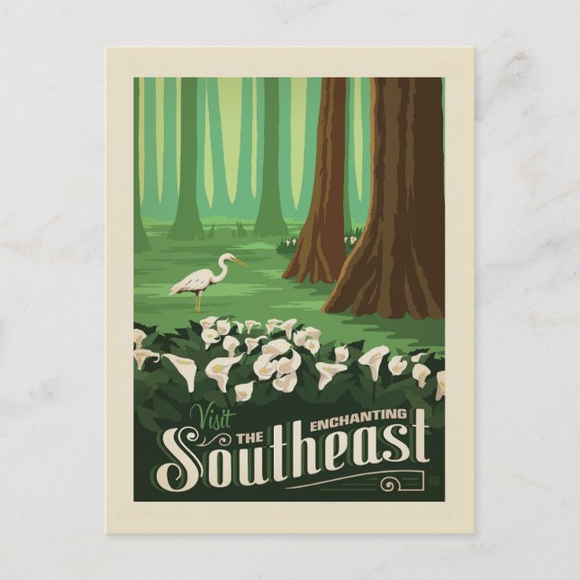 Macy's Blume Show | Südosten Postkarte (Vorderseite)