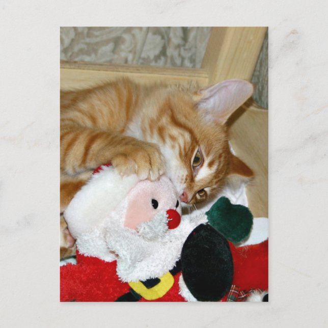 Mad at Santa Feiertagspostkarte (Vorderseite)