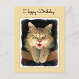 Mad Cat Painting - Niedliche Original Cat Art Postkarte