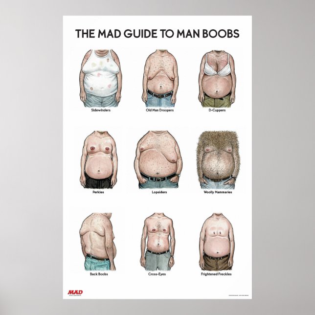 MAD Guide to Man B**bs Poster (Vorne)