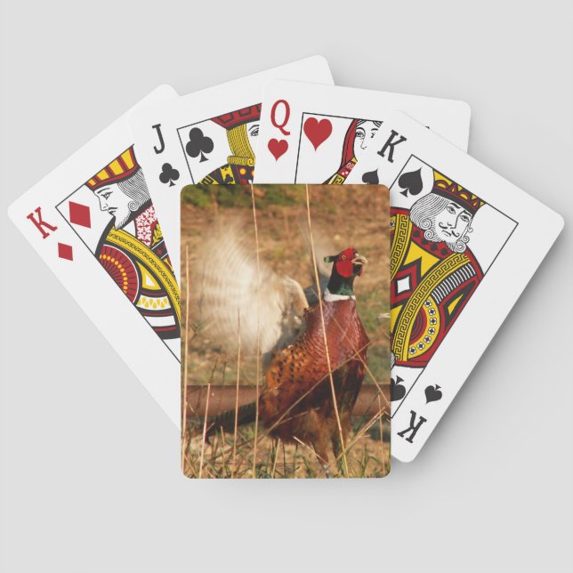 Mad Pheasant Playing Cards Spielkarten (Rückseite)
