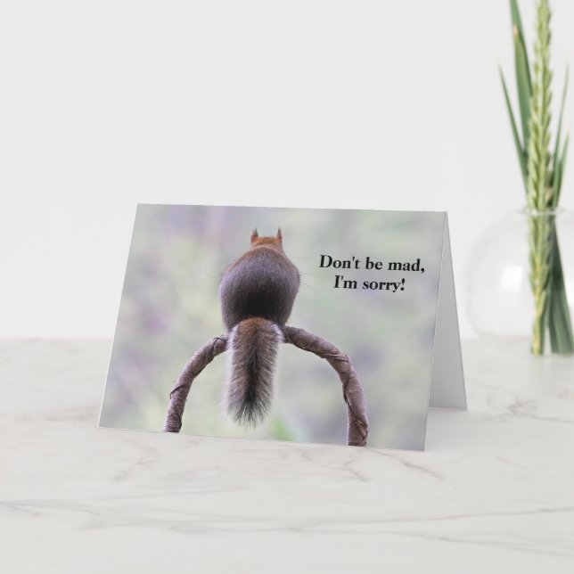 Mad Squirrel Karte (Vorderseite)
