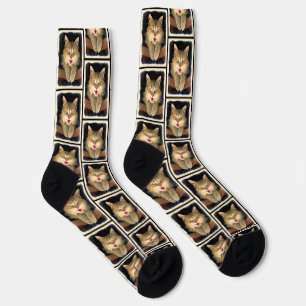 Mad Tabby Cat Portrait Malerei Niedliche Originell Socken