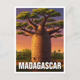 Madagascar Baobab Tree Travel Postkarte