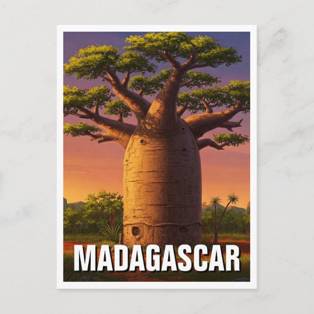 Madagascar Baobab Tree Travel Postkarte (Vorderseite)
