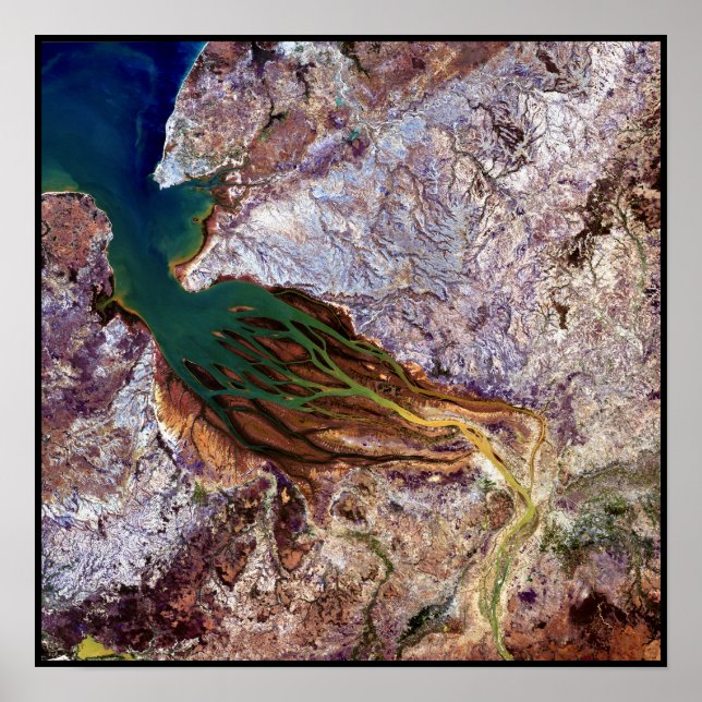 Madagascar Jellyfish Poster (Vorne)