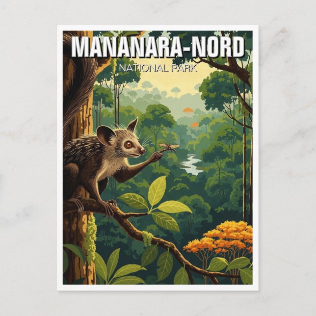 Madagascar Mananara-Nord Nationalpark Travel Postkarte (Vorderseite)