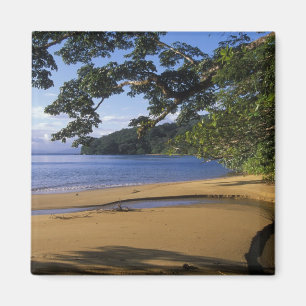 Madagascar, Nosy Mangabe Special Reserve, auf Magnet