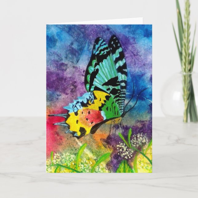 Madagascar Splash Profil Karte (Vorderseite)