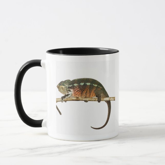 Madagaskar 2 tasse (Links)