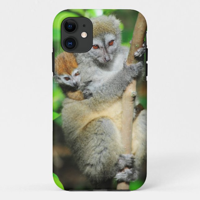Madagaskar, Andasibe, Ile Aux Lemuriens, Mutter Case-Mate iPhone Hülle (Rückseite)
