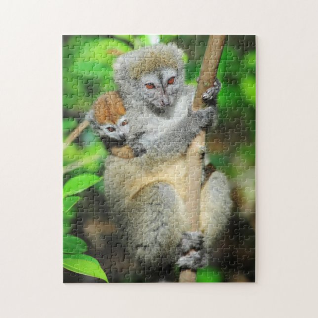 Madagaskar, Andasibe, Ile Aux Lemuriens, Mutter Puzzle (Vertikal)