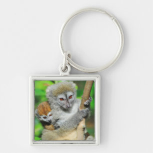 Madagaskar, Andasibe, Ile Aux Lemuriens, Mutter Schlüsselanhänger