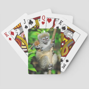 Madagaskar, Andasibe, Ile Aux Lemuriens, Mutter Spielkarten
