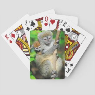 Madagaskar, Andasibe, Ile Aux Lemuriens, Mutter Spielkarten