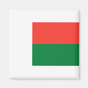 Madagaskar-Flagge Magnet