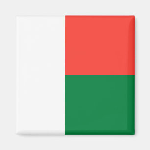 Madagaskar-Flagge Magnet