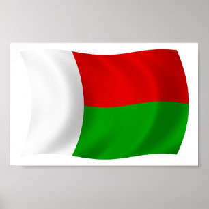 Madagaskar Flagge Poster Druck