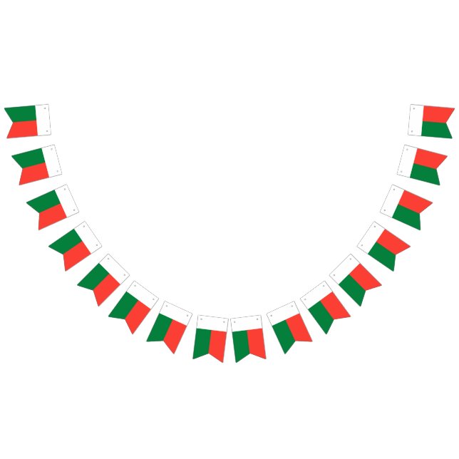 Madagaskar-Flagge Wimpelkette (Alle)