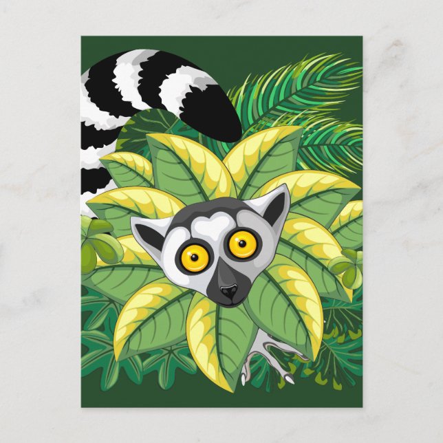 Madagaskar-Lemuren im Exotischen Dschungel Postkarte (Vorderseite)
