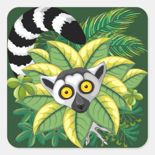 Madagaskar-Lemuren im Exotischen Dschungel Quadratischer Aufkleber