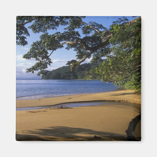 Madagaskar, Nosy Mangabe, Sonderreservat Magnet (Vorne)