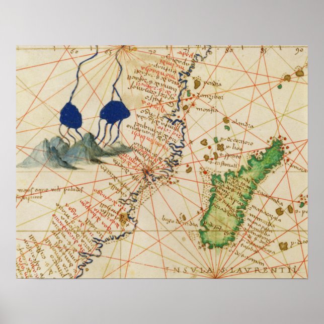 Madagaskar Poster (Vorne)