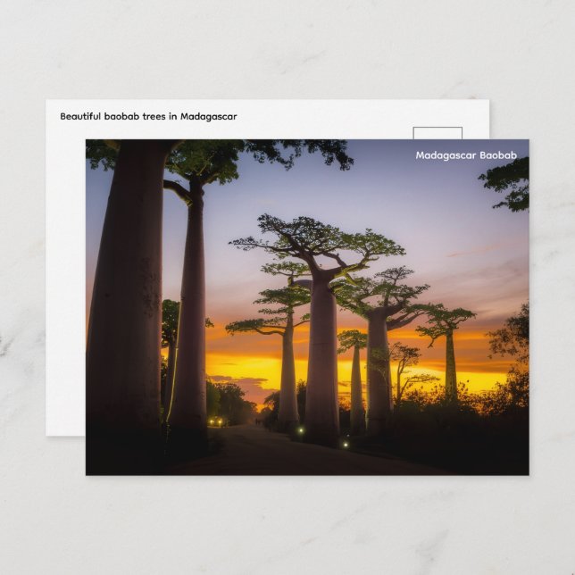 Madagaskar Postkarte (Vorne/Hinten)