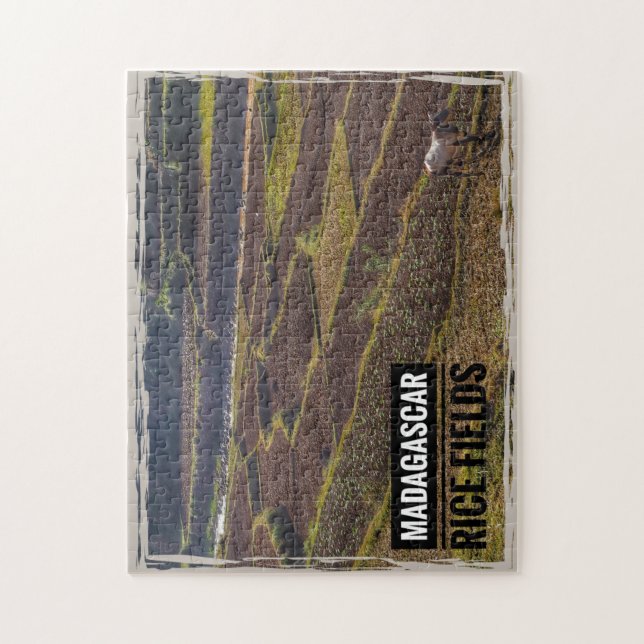 Madagaskar Reisfeld mit Ziege Puzzle (Vertikal)