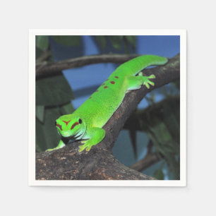 Madagaskar Serviette