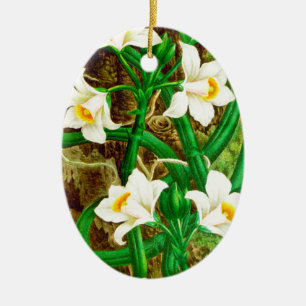 Madagaskar-Vanille-Orchidee Keramikornament