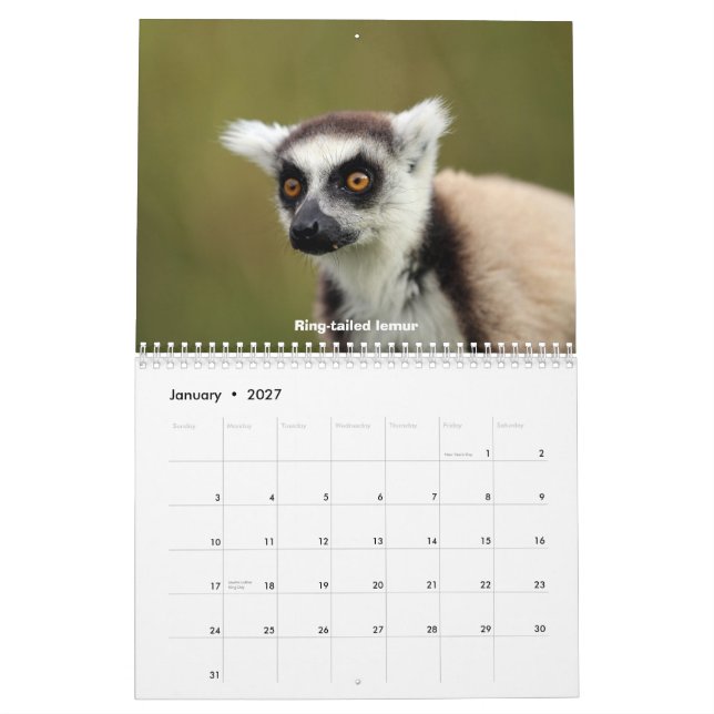 Madagaskar-wild lebende Tiere Kalender (Jan 2027)