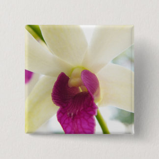 Madame Orchid Button
