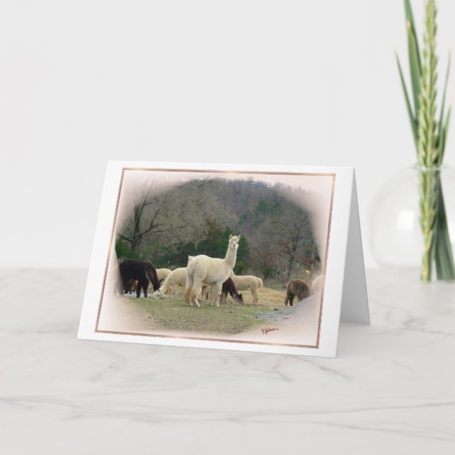 Madame Pompadour Card Karte (Vorderseite)