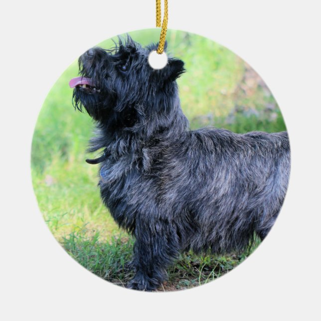 Mädchen anzeigen keramik ornament (Vorne)