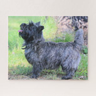 Mädchen anzeigen puzzle