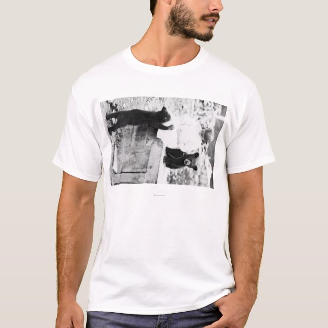 Mädchen, das mit Bärenjunges in Seward spielt T-Shirt (Vorderseite)