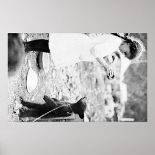 Mädchen Fütternd Bärenkuppe in Seward Poster