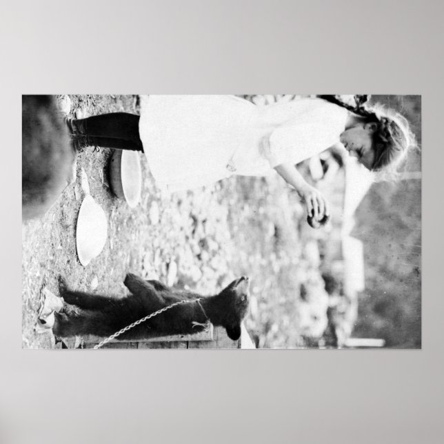 Mädchen Fütternd Bärenkuppe in Seward Poster (Vorne)