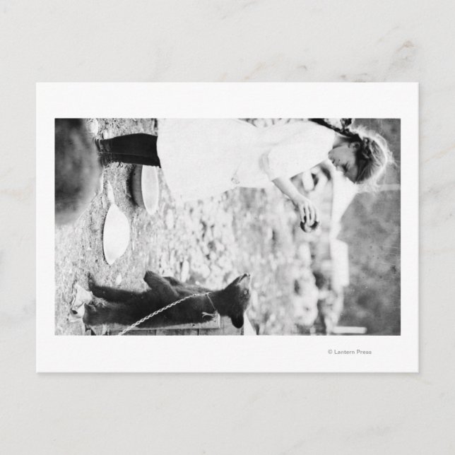 Mädchen Fütternd Bärenkuppe in Seward Postkarte (Vorderseite)